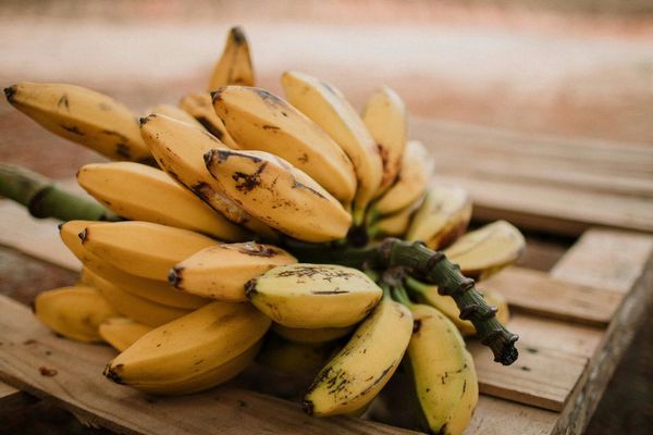 Зеленый, желтый или коричневый: банан какой спелости самый полезный