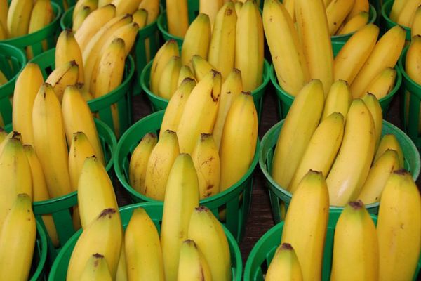 Как использовать бананы в уходе за кожей и волосами