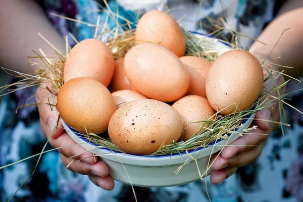 Какое отличие сельских яиц от магазинных и их польза