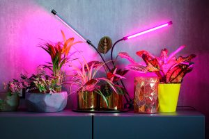 Phytolamps,Illuminate,Potted,Plants,On,A,Shelf,In,A,Room