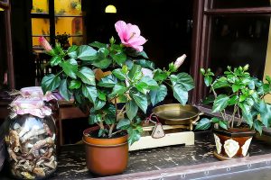 An,Authentic,Showcase,Of,An,Old,Hospitable,Tavern:,On,The