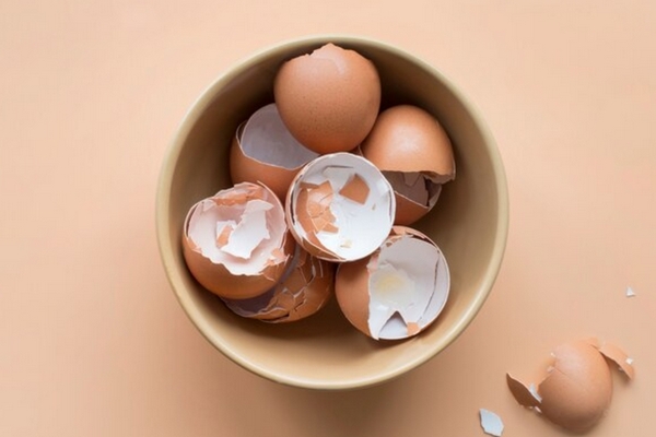 Яичная скорлупа – точилка отличная: как яйца могут помочь наточить ножи на блендере