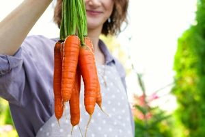 Верный способ получить урожай: 10 дачных примет, реально работающих