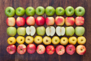 Multiple apple varieties arranged in rows